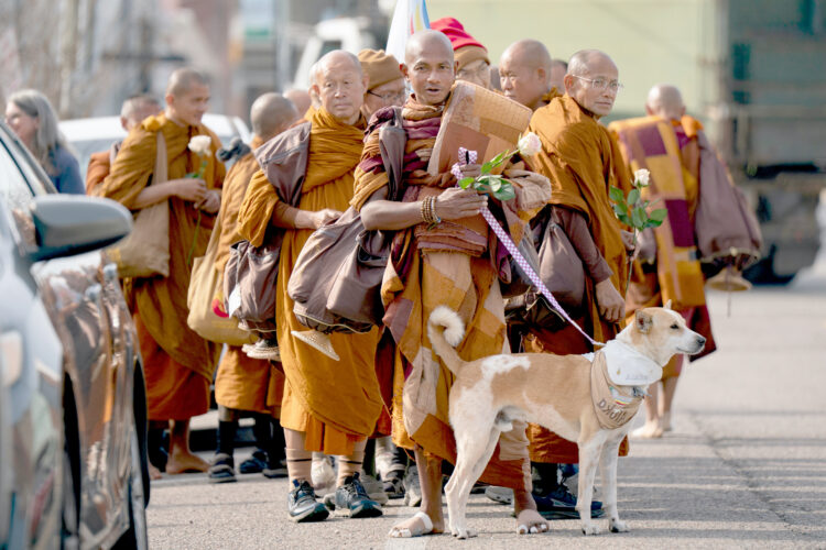 Walking for Peace: Buddhist monks, dog captivate Americans